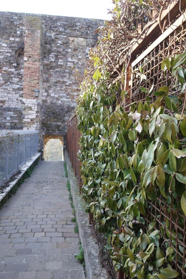 Central- Views - Air Conditioning - Easy Parking -Self Check In Perugia Exterior photo